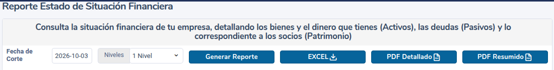 Opciones del Estado de Situación Financiera